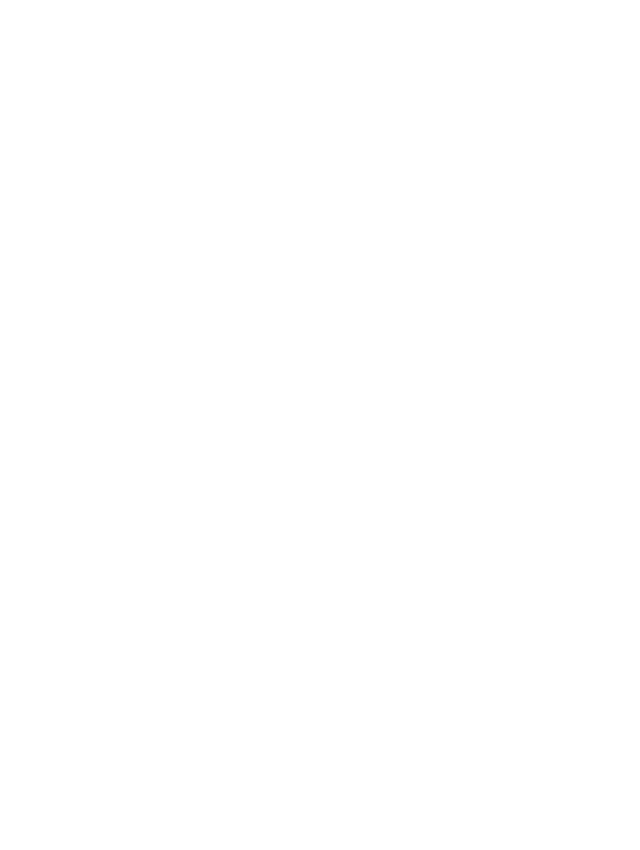 Website Security 